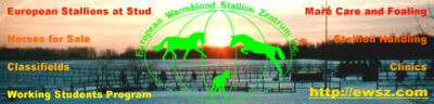 European Warmblood Stallion Zentrum Inc.